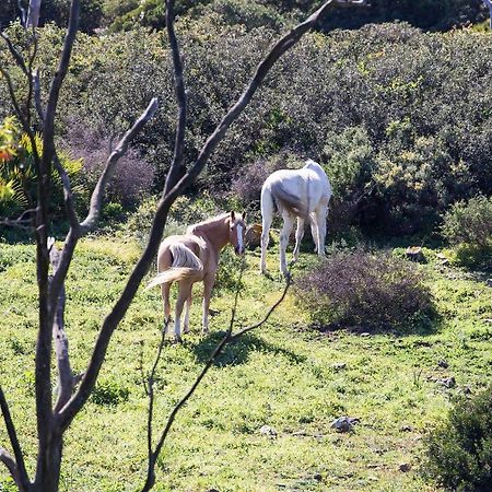 塔里法Casita Rural En Centro De Hipica公寓 外观 照片