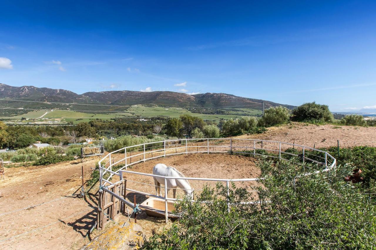 塔里法Casita Rural En Centro De Hipica公寓 外观 照片