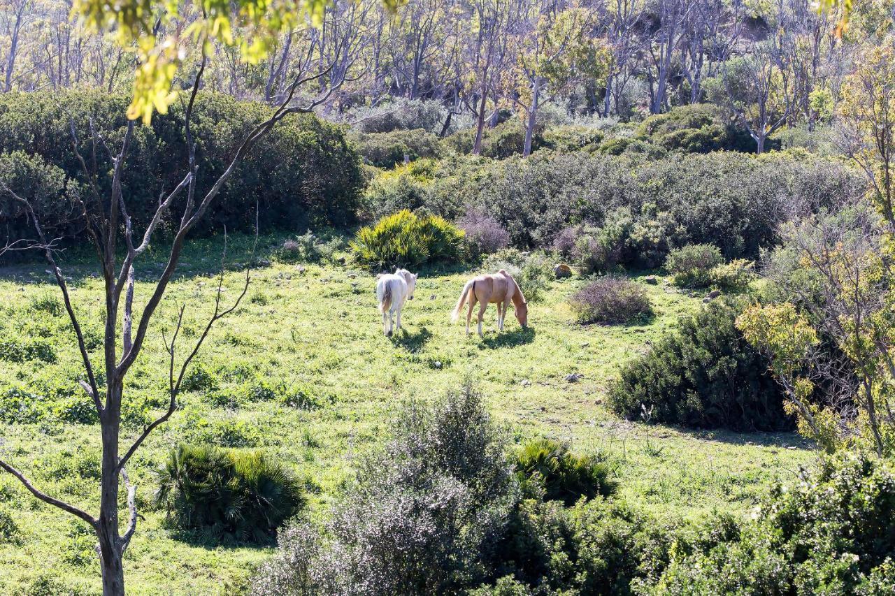 塔里法Casita Rural En Centro De Hipica公寓 外观 照片
